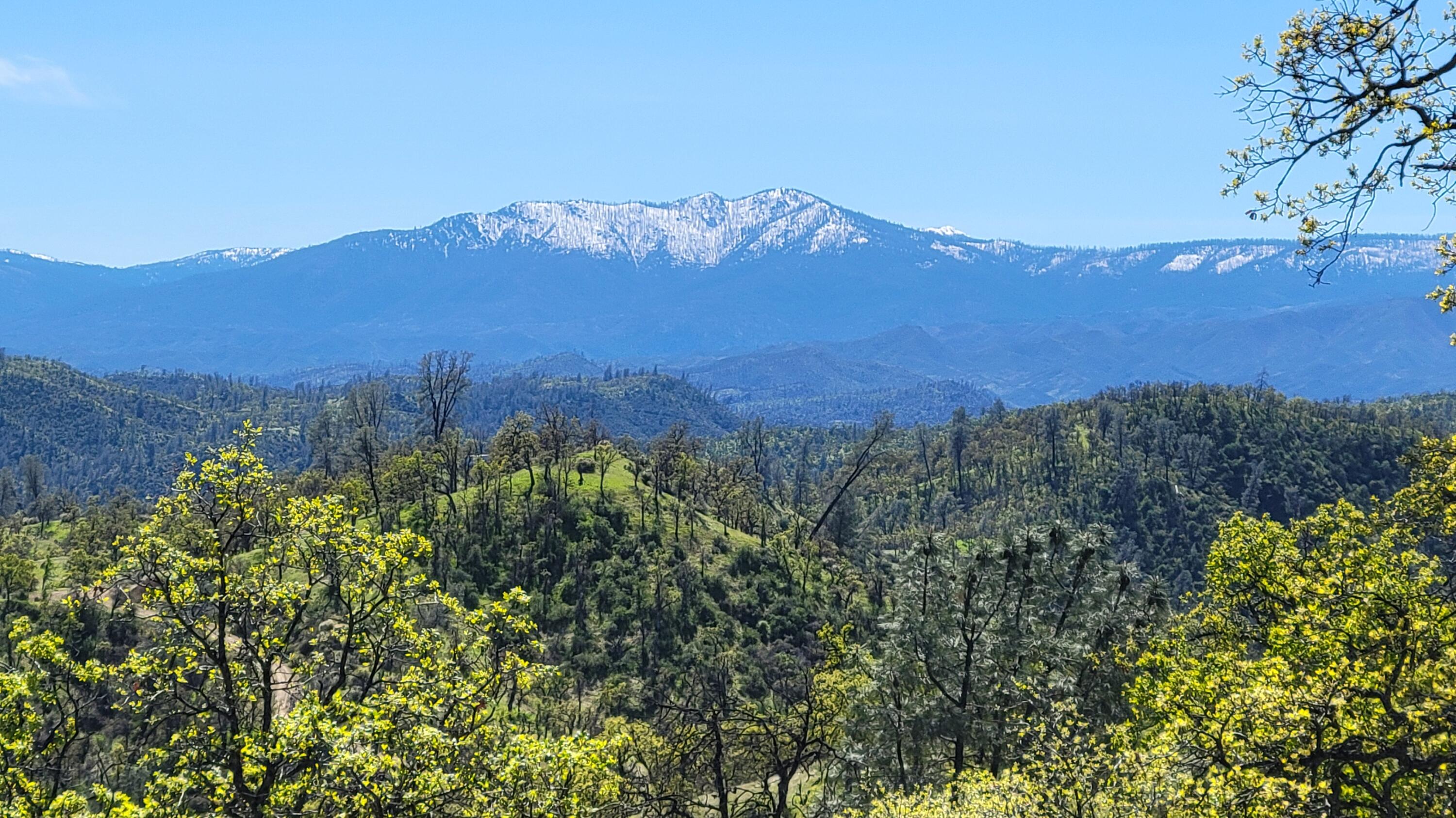 Lot 216 Tolowa Road Igo, CA 96047 - Photo 17 of 25 20250323_133637