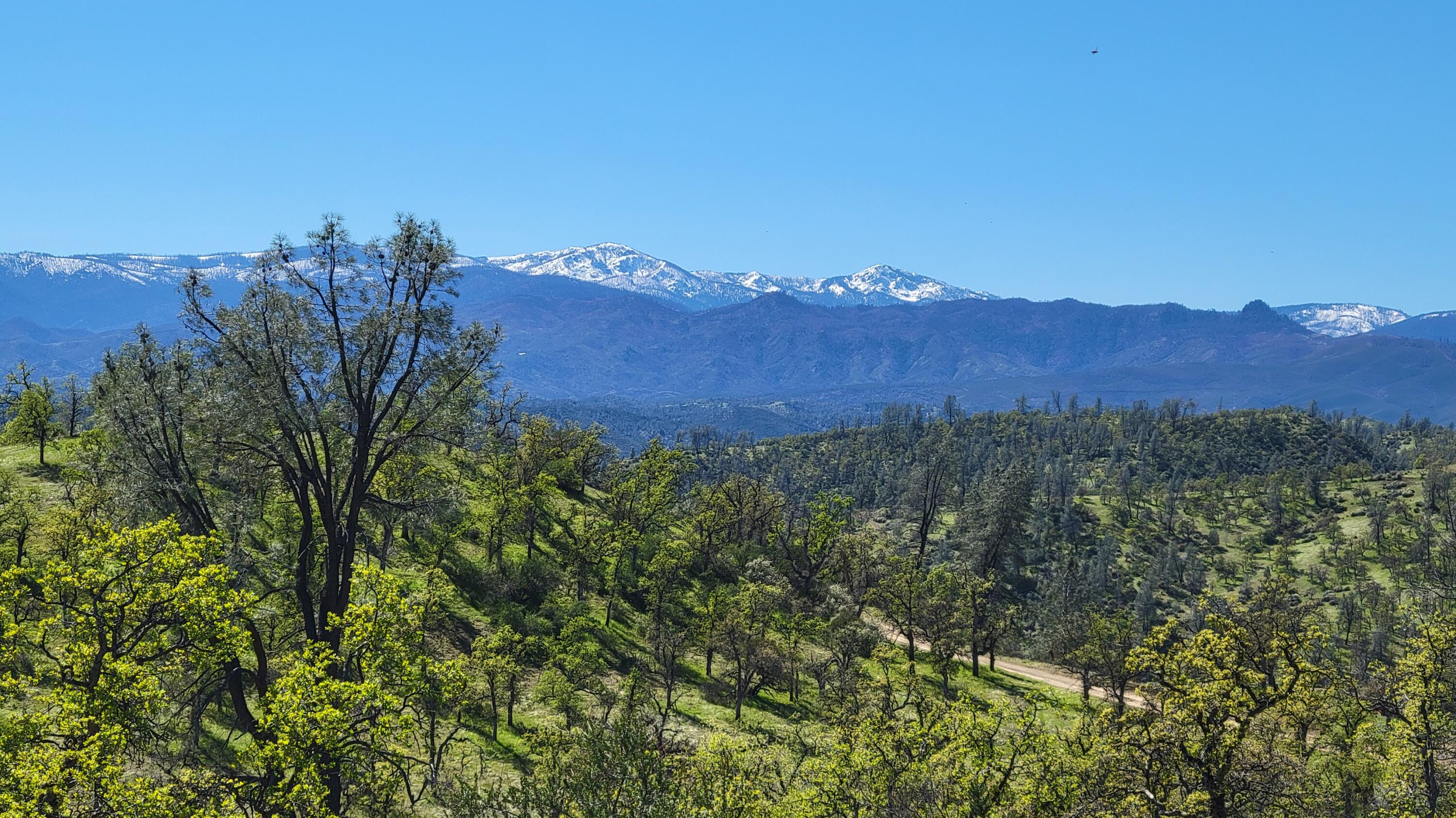 Lot 216 Tolowa Road Igo, CA 96047 - Photo 18 of 25 20250323_133704