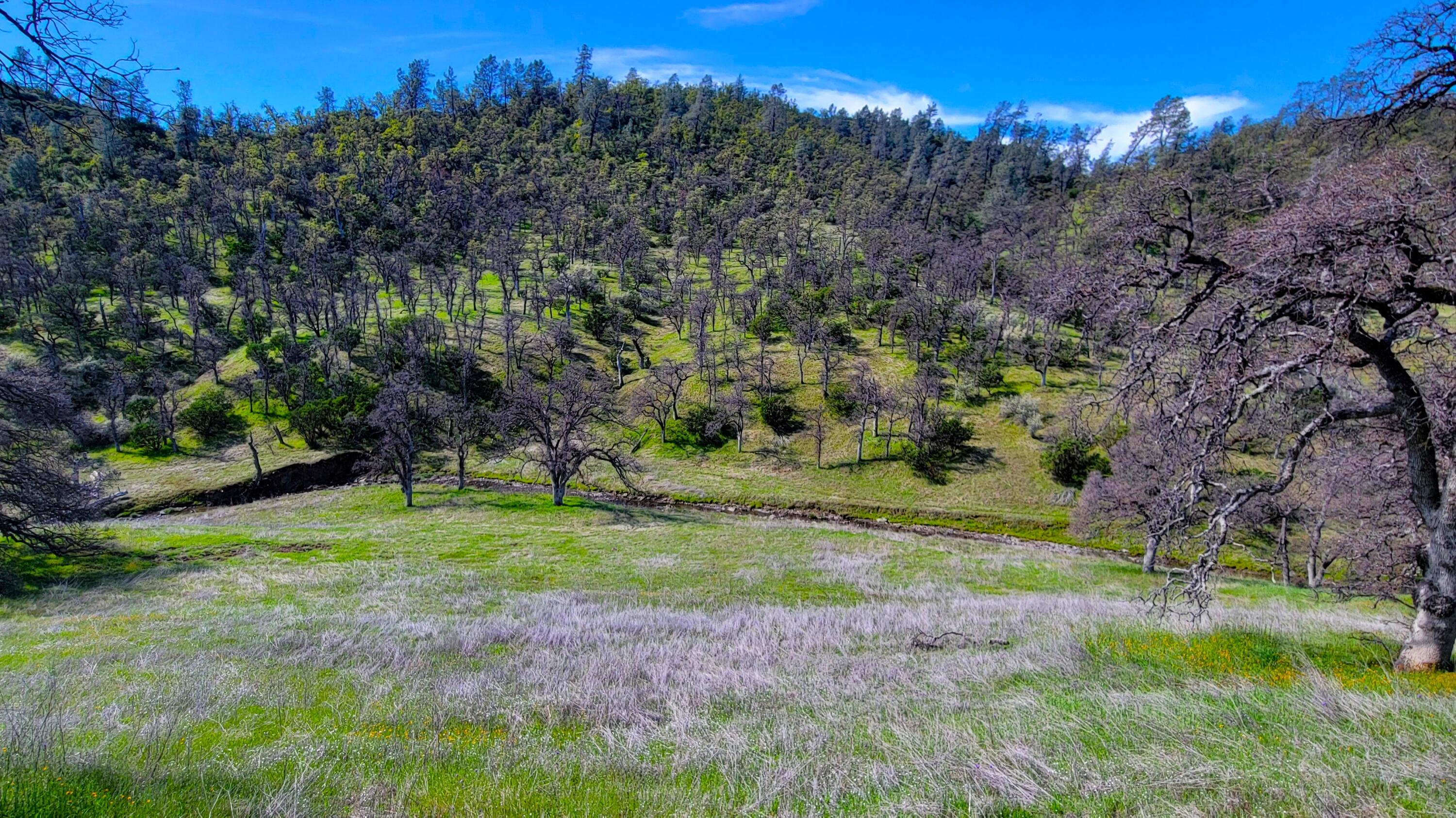 Lot 216 Tolowa Road Igo, CA 96047 - Photo 2 of 25 20250323_115155