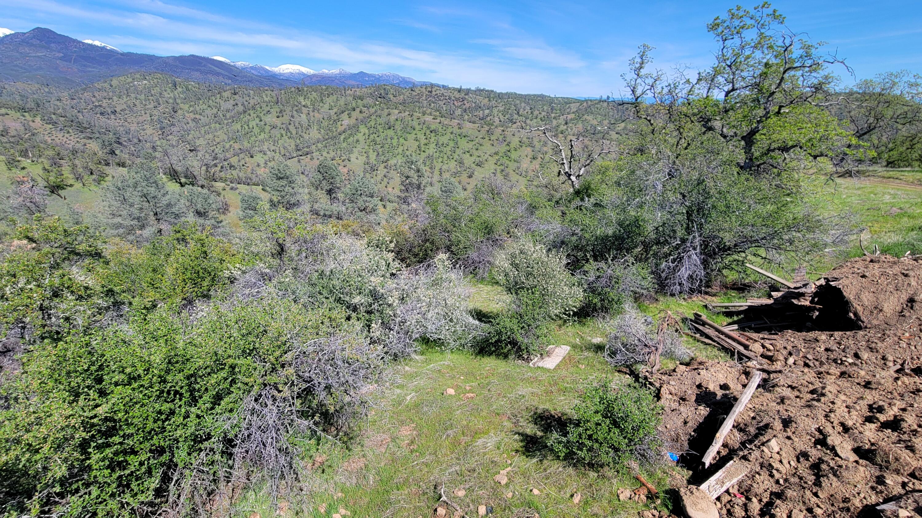 Lot 216 Tolowa Road Igo, CA 96047 - Photo 22 of 25 20250323_133906