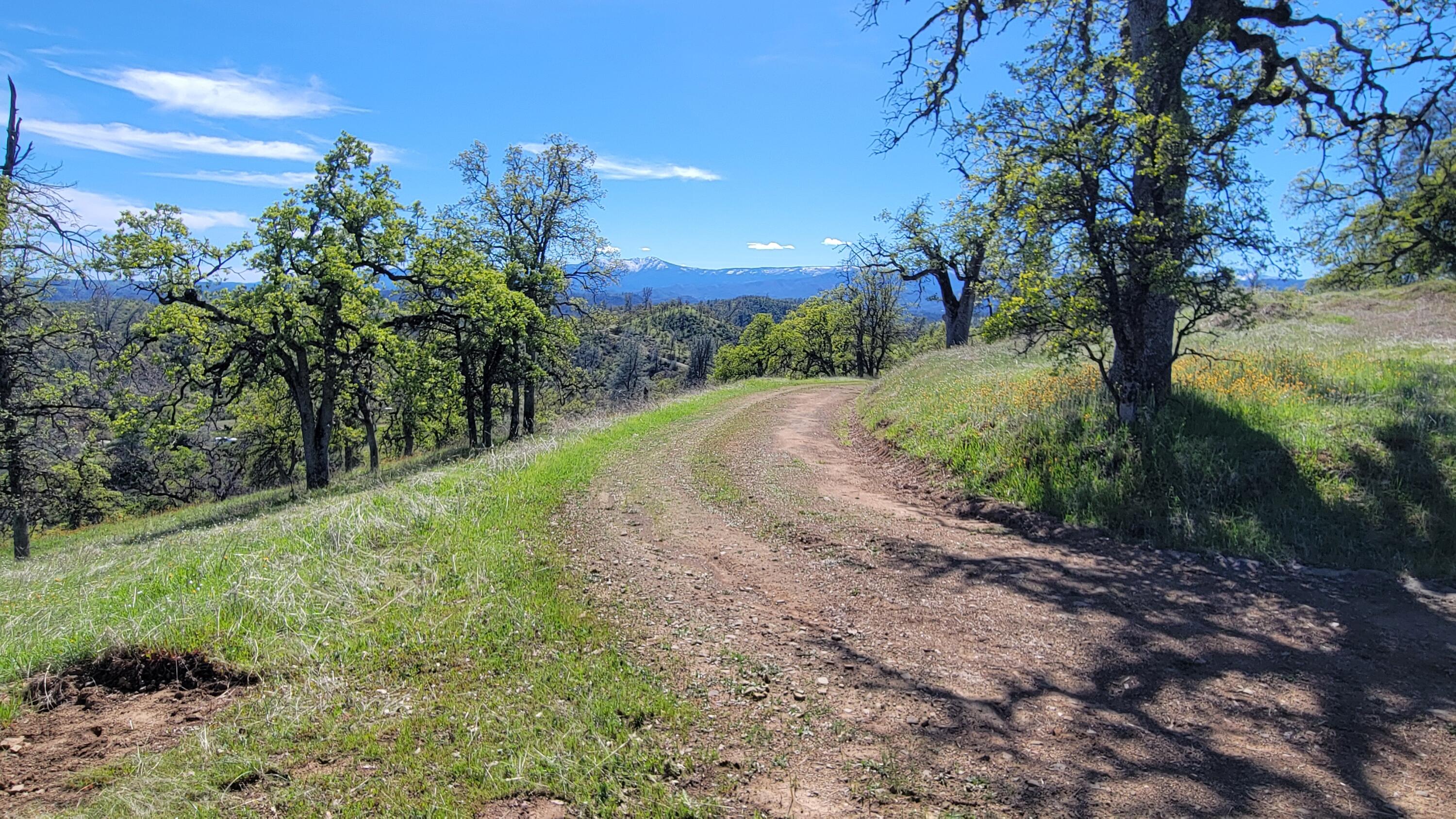 Lot 216 Tolowa Road Igo, CA 96047 - Photo 25 of 25 20250323_141404