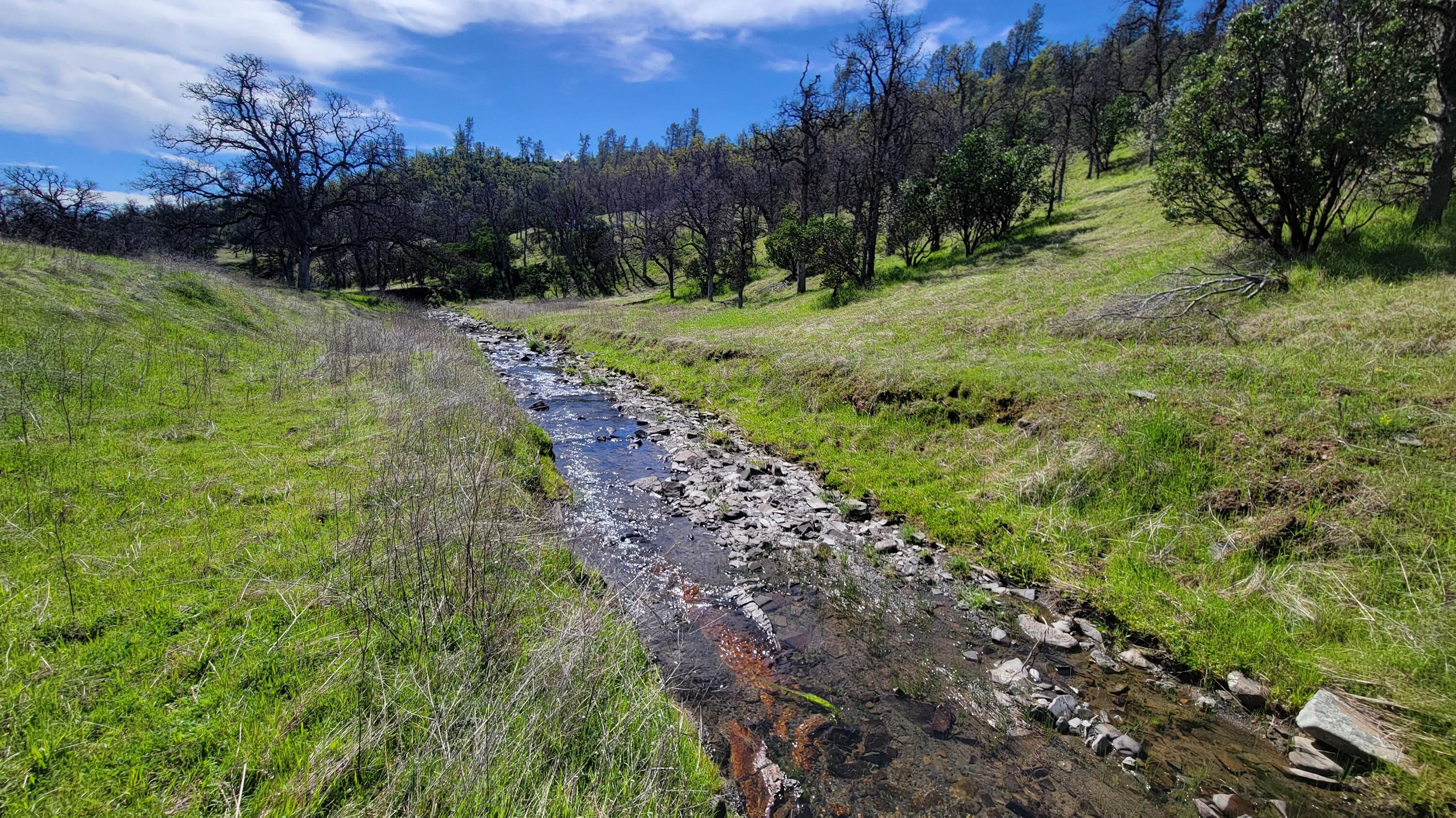 Lot 216 Tolowa Road Igo, CA 96047 - Photo 6 of 25 20250323_115533
