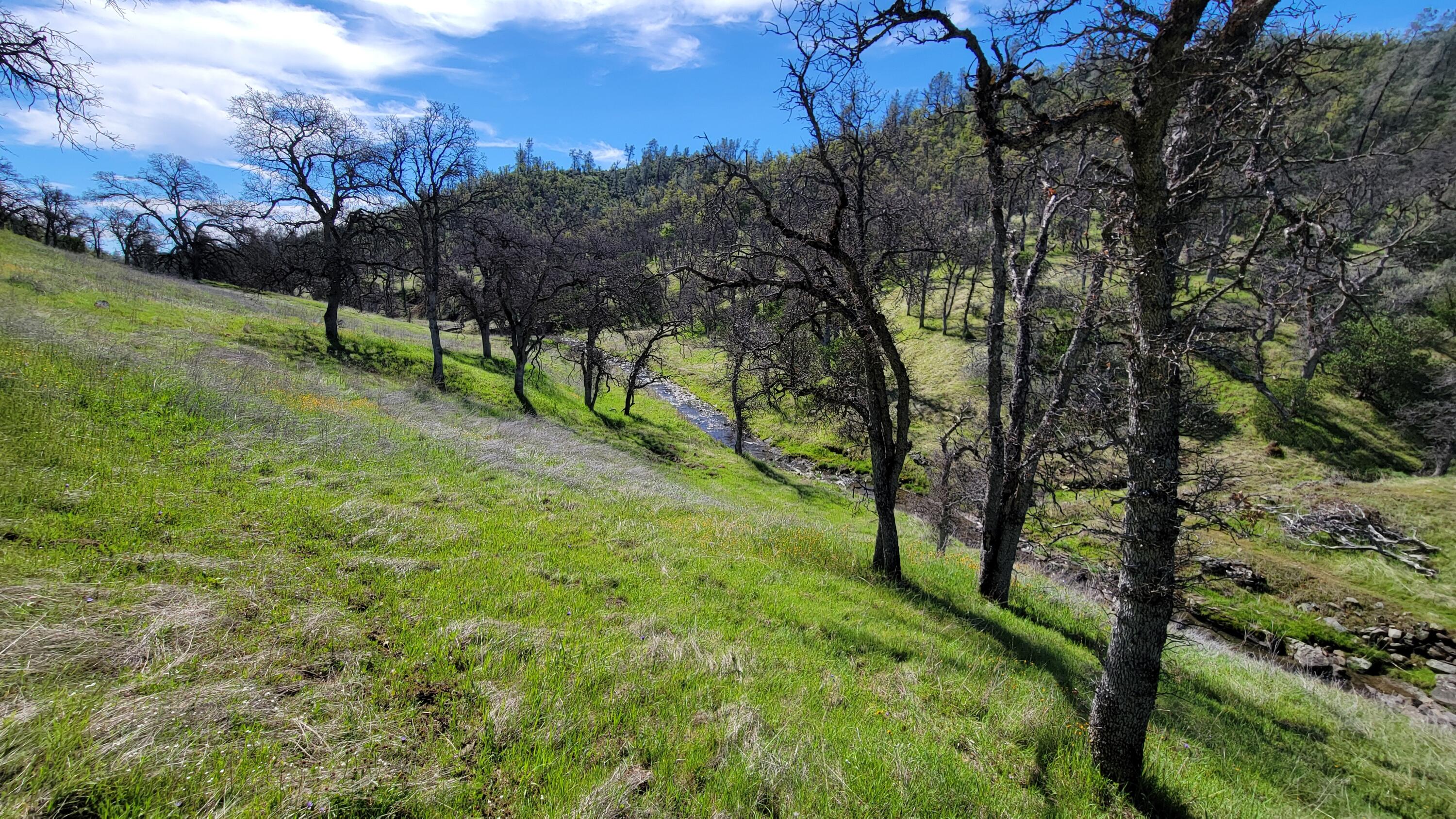 Lot 216 Tolowa Road Igo, CA 96047 - Photo 7 of 25 20250323_115642