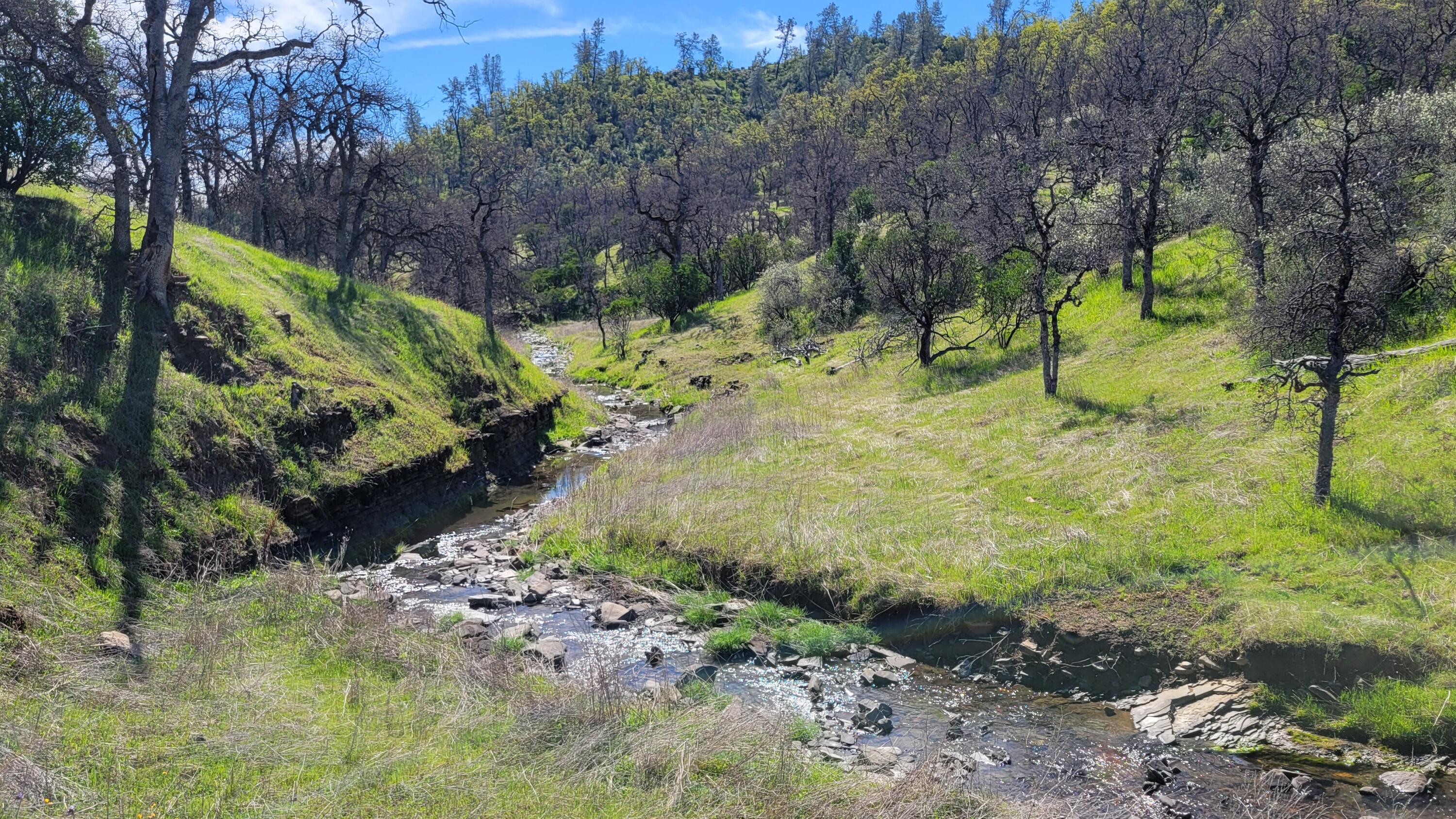 Lot 216 Tolowa Road Igo, CA 96047 - Photo 8 of 25 20250323_115820