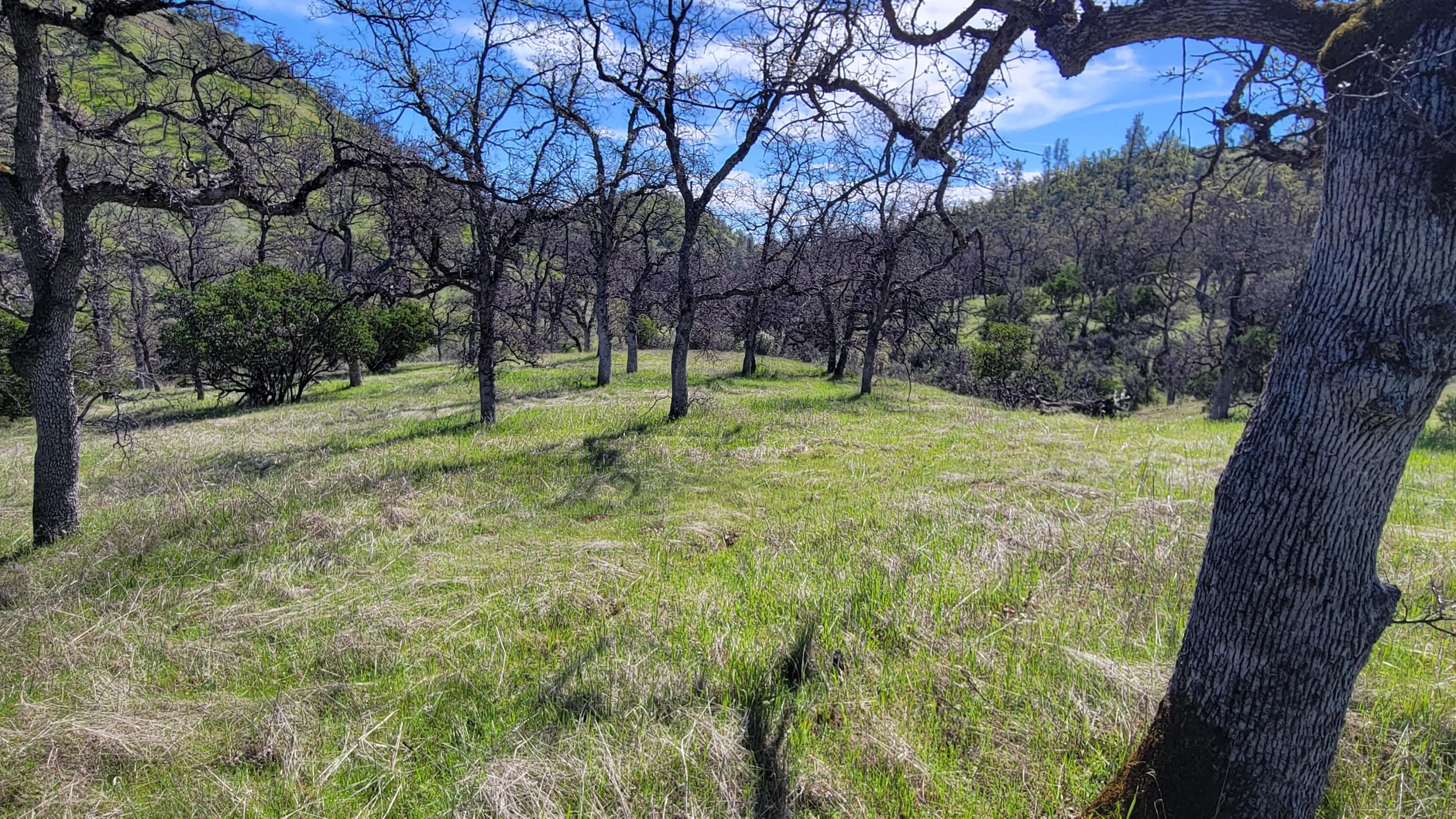 Lot 216 Tolowa Road Igo, CA 96047 - Photo 10 of 25 20250323_120217
