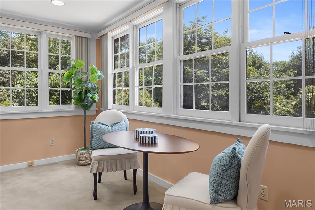 46 Broadview Drive Clayton, MO 63105 - Photo 18 of 46