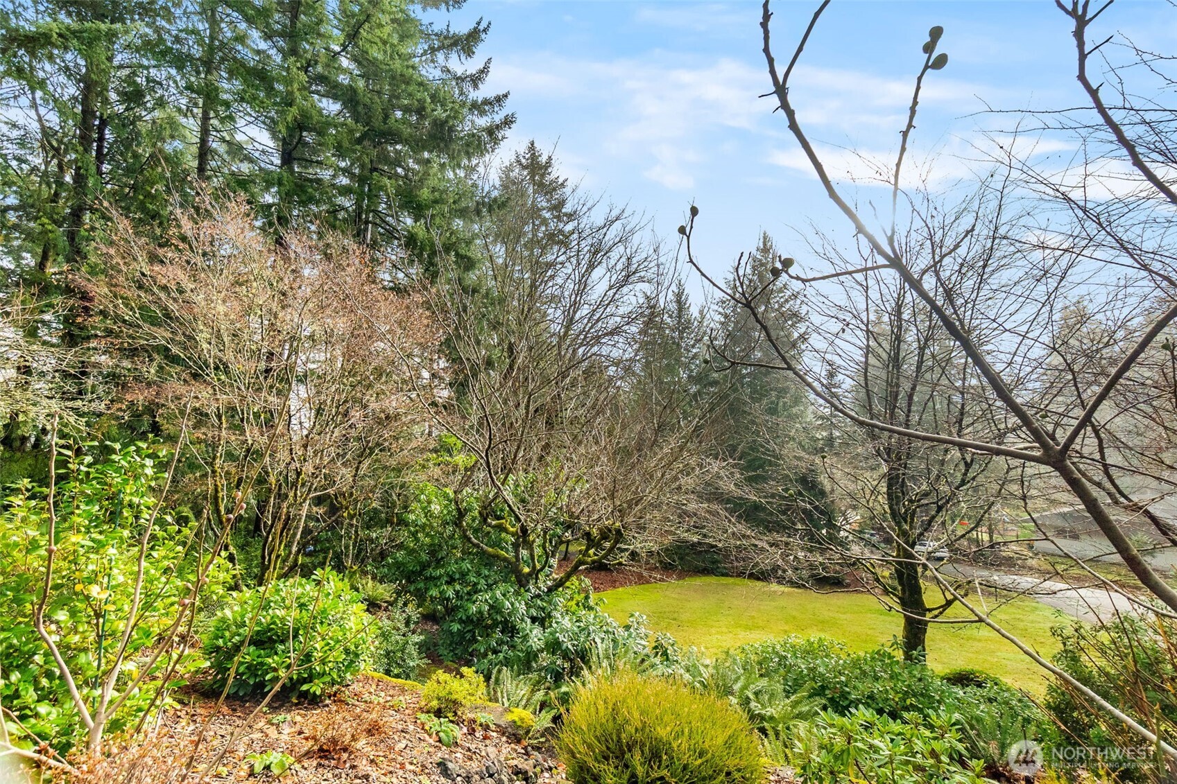 6028 Northill Loop Southwest Olympia, WA 98512 - Photo 35 of 38 a view of yard with large tree