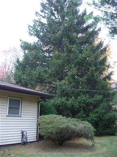14620 Brown Road Lakeside, MI 49128 - Photo 21 of 21 Additional Photo