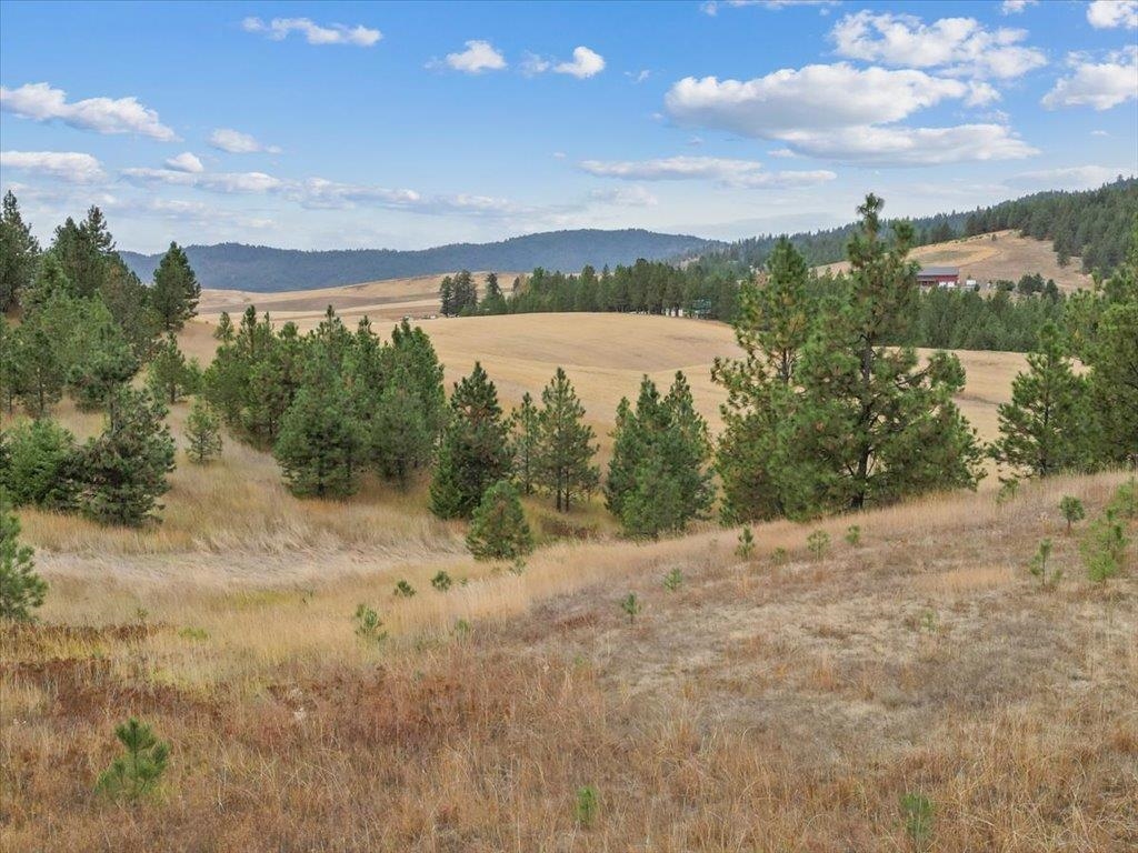 0 East Horton Road Rockford, WA 99030 - Photo 12 of 16