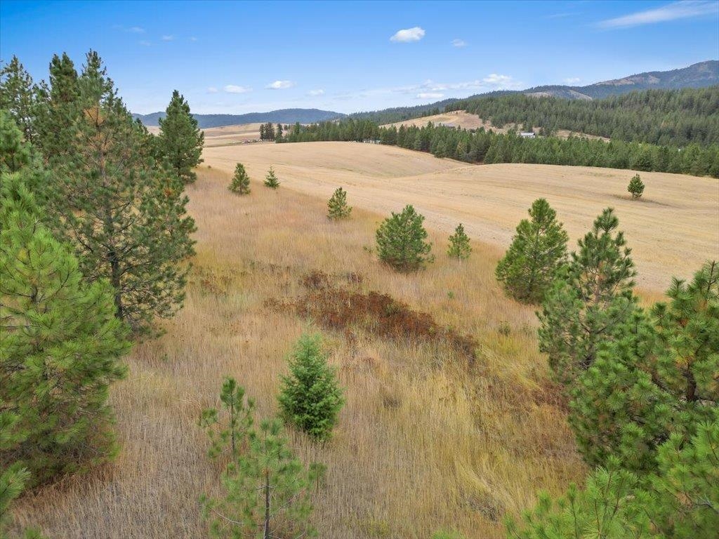 0 East Horton Road Rockford, WA 99030 - Photo 14 of 16