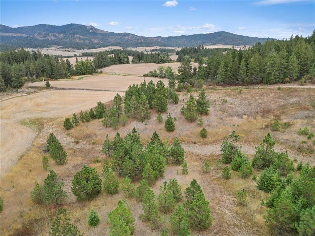 0 East Horton Road Rockford, WA 99030 - Photo 15 of 16