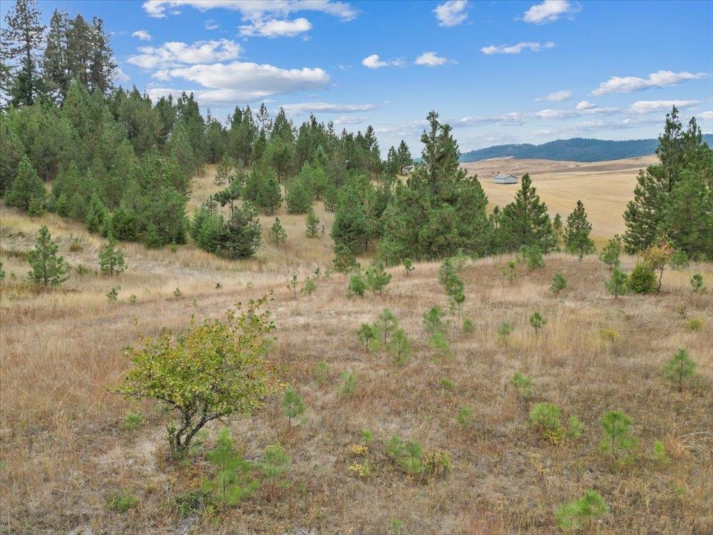 0 East Horton Road Rockford, WA 99030 - Photo 16 of 16