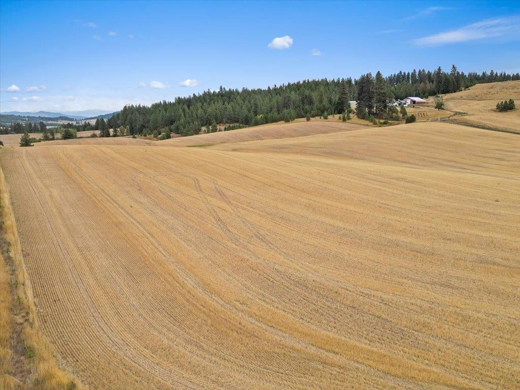 0 East Horton Road Rockford, WA 99030 - Photo 6 of 16