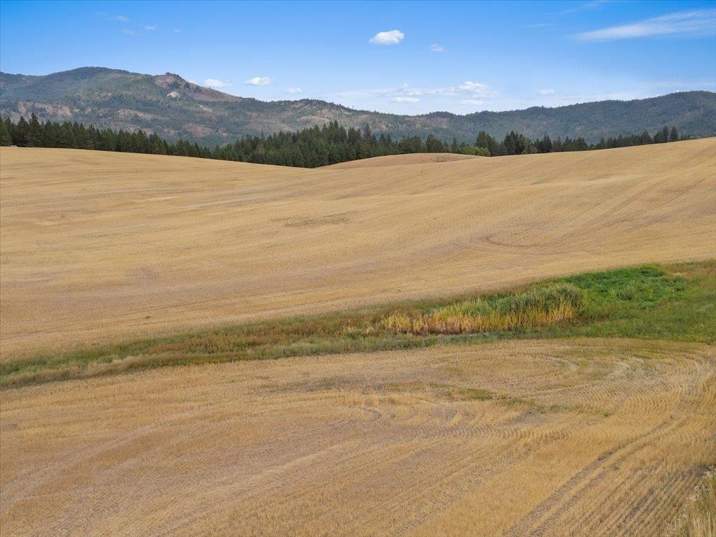 0 East Horton Road Rockford, WA 99030 - Photo 7 of 16