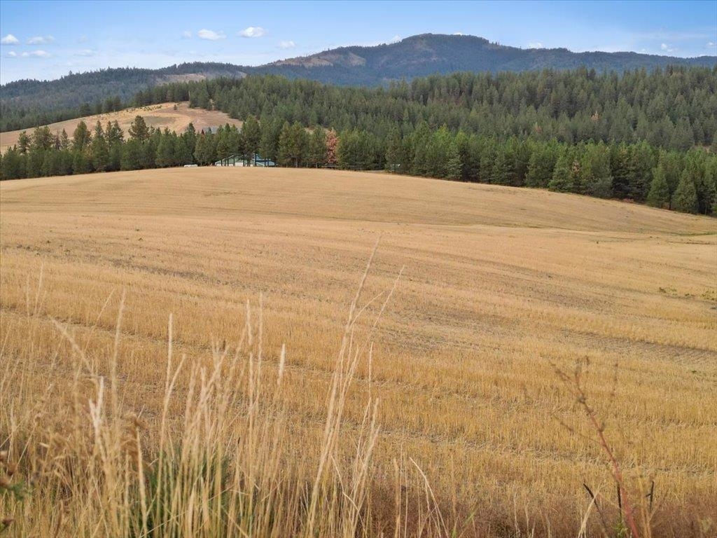 0 East Horton Road Rockford, WA 99030 - Photo 8 of 16