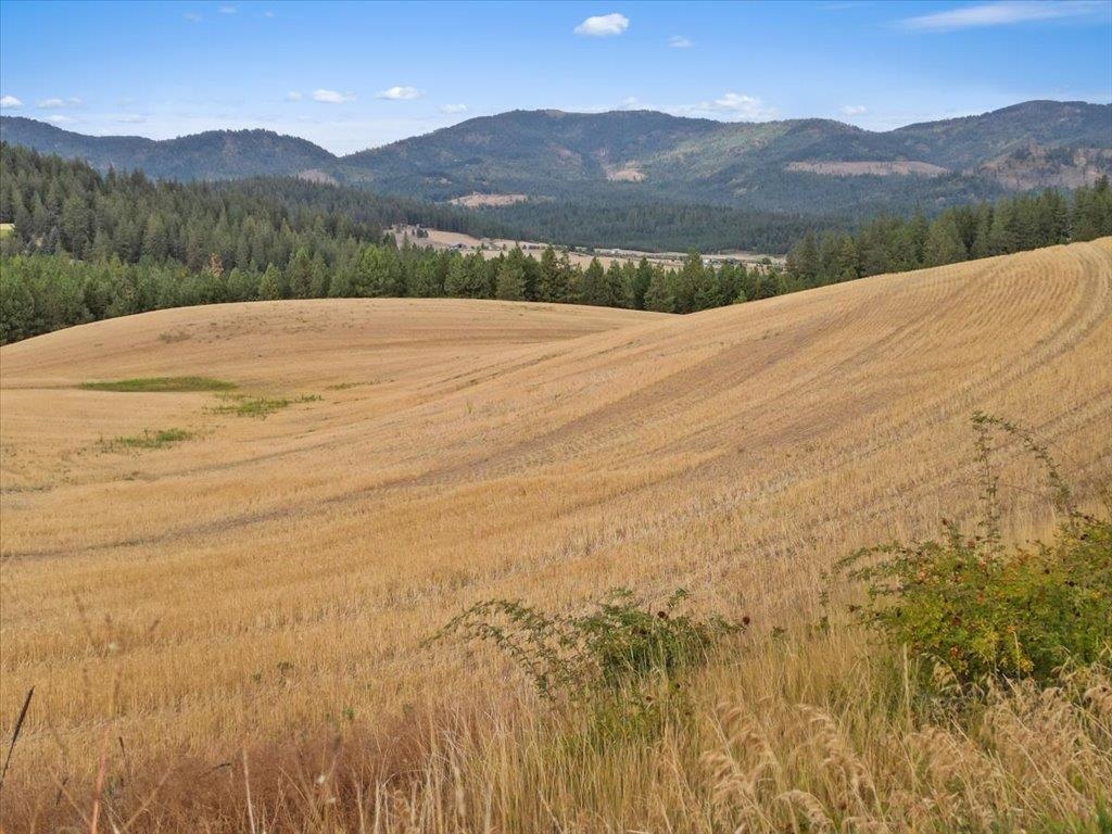 0 East Horton Road Rockford, WA 99030 - Photo 9 of 16