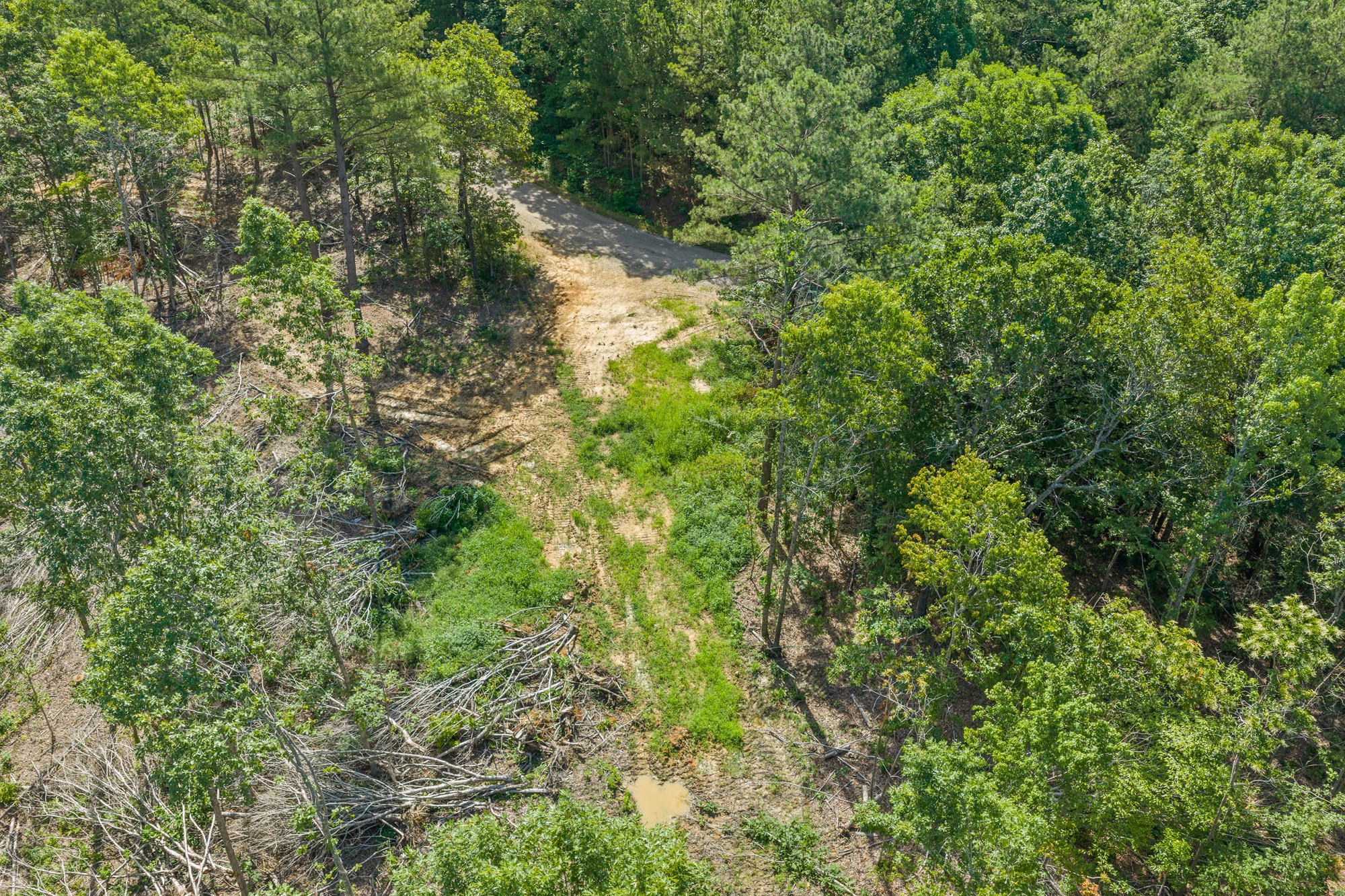 0 Green Hatley Branch Road Holladay, TN 38341 - Photo 11 of 18 Gallery Image 11