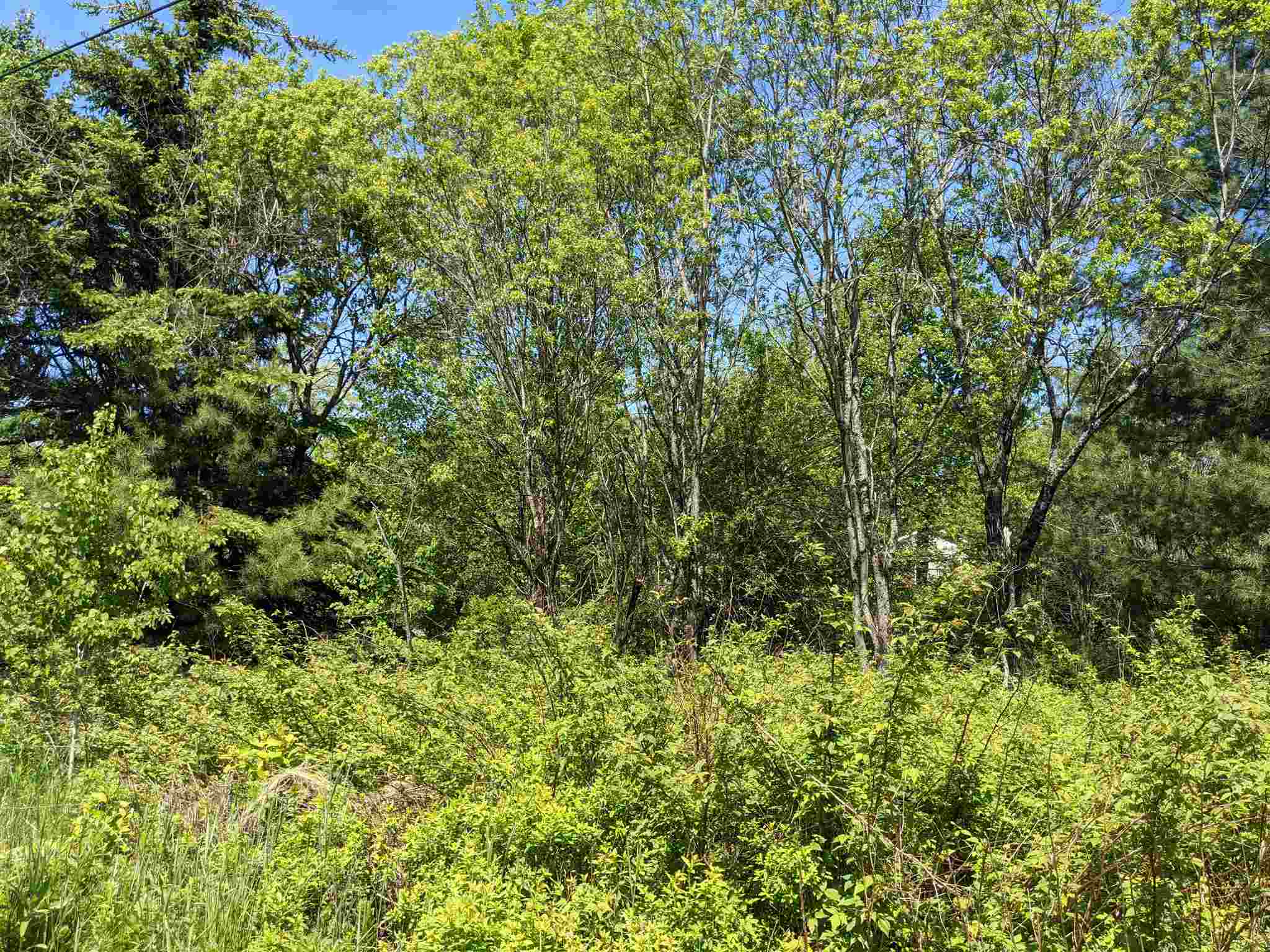 0 Cedar Street, Unit LOT 209 Lunenburg, VT 05906 - Photo 2 of 2