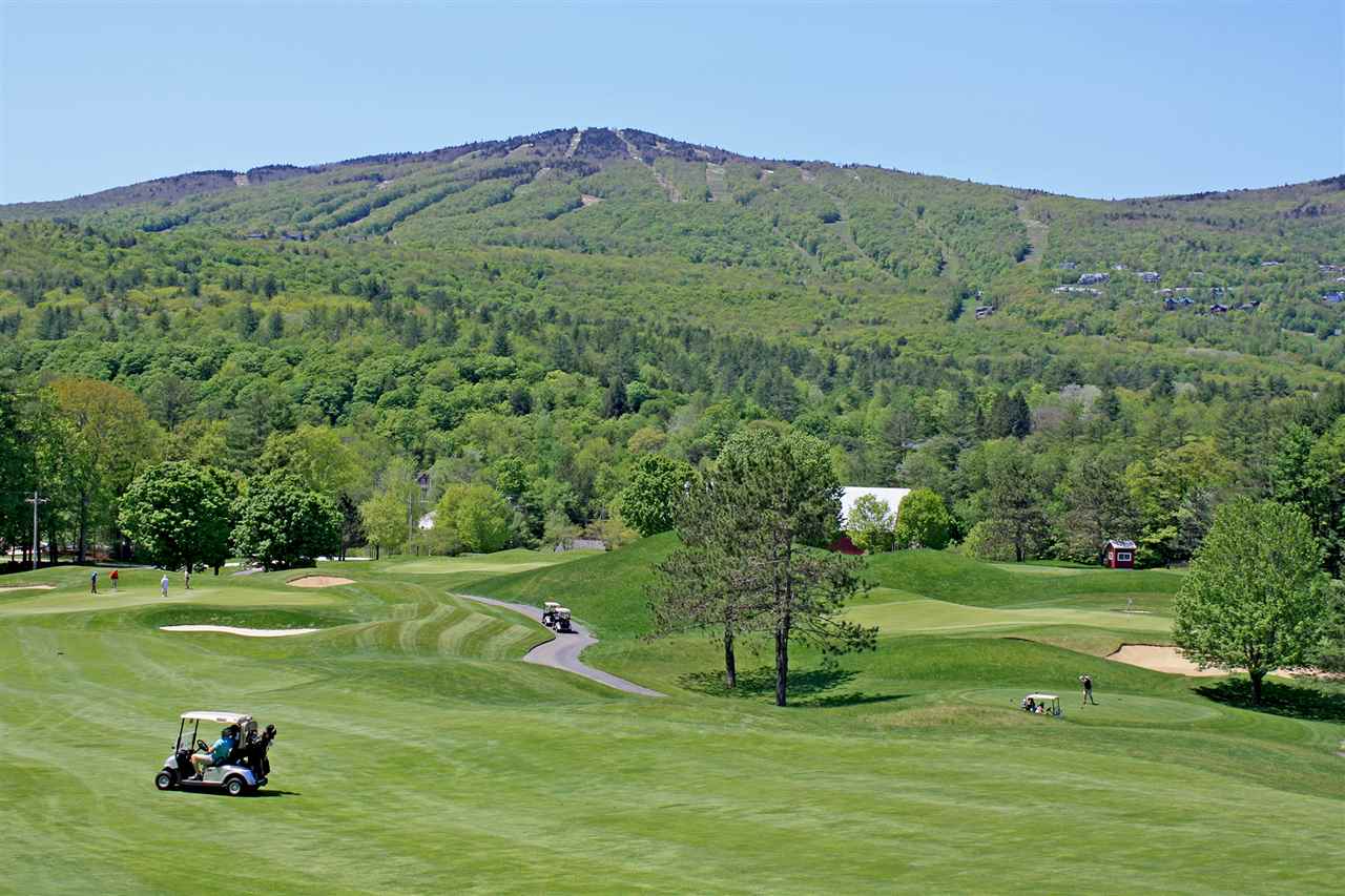 445 Qtr I Jackson Gore Inn Ludlow, VT 05149 - Photo 21 of 29 Gallery Image 21