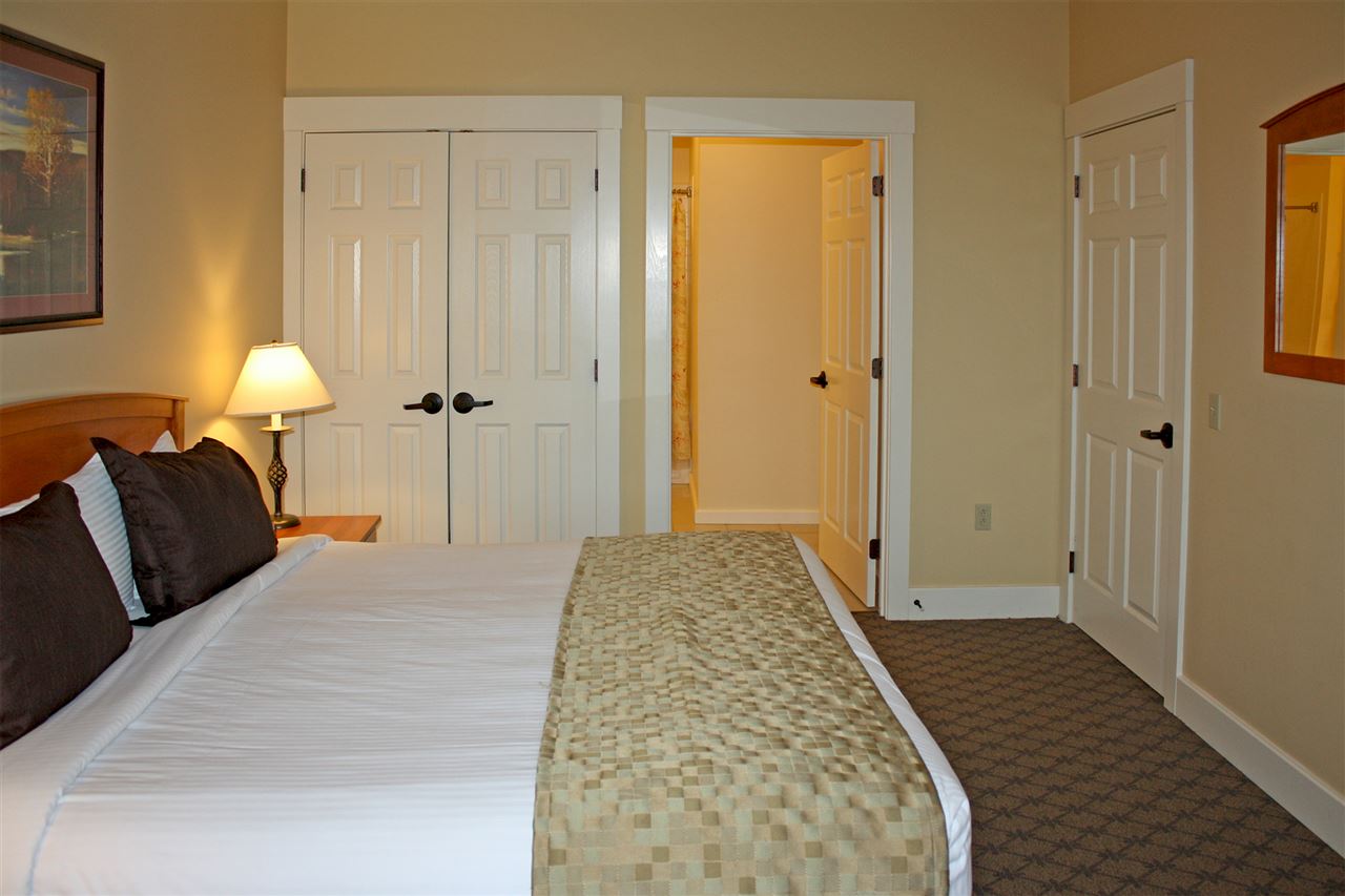 445 Qtr I Jackson Gore Inn Ludlow, VT 05149 - Photo 4 of 29 Gallery Image 4