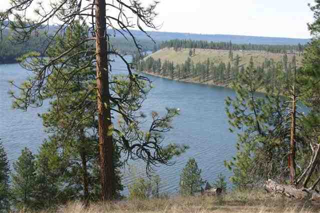 Nine West South Bank Road Ford, WA 99013 - Photo 1 of 1