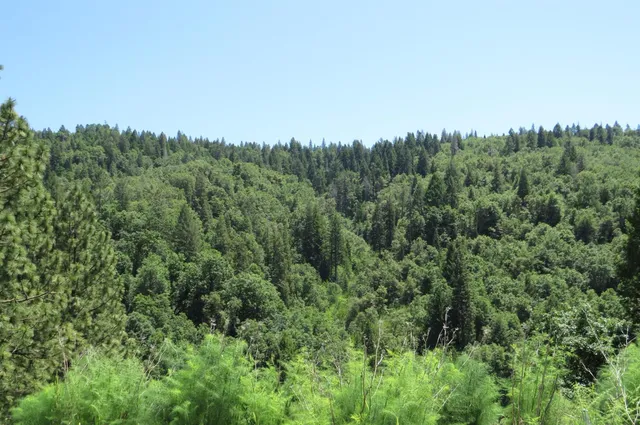 $132,100 | 0 Moody Ridge Road, Alta, CA 95701