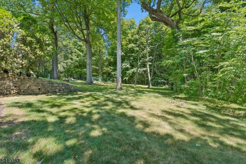 20 Kean Road Short Hills, NJ 07078 - Photo 12 of 12