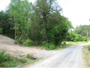 12.31-ac Davis Valley Road Greeneville, TN 37745 - Photo 3 of 8 Photo 3
