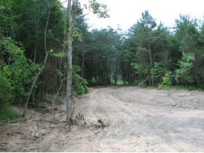 12.31-ac Davis Valley Road Greeneville, TN 37745 - Photo 4 of 8 Photo 4