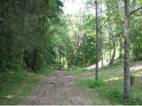 12.31-ac Davis Valley Road Greeneville, TN 37745 - Photo 7 of 8 Photo 7