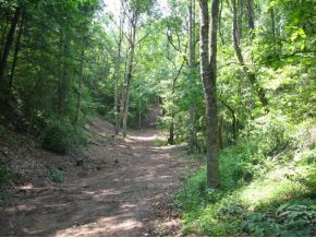 12.31-ac Davis Valley Road Greeneville, TN 37745 - Photo 8 of 8 Photo 8