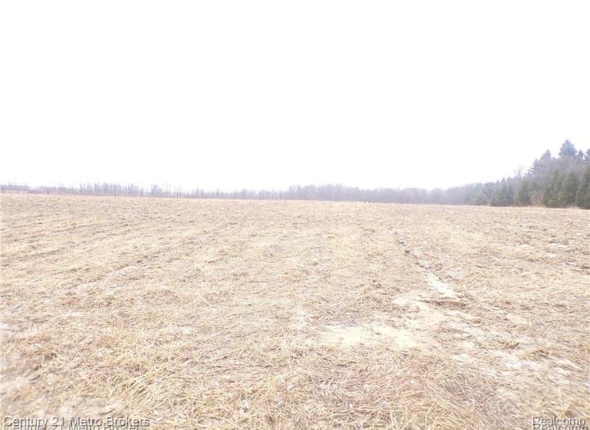 Parcel J Lyons Road Imlay City, MI 48444 - Photo 2 of 2