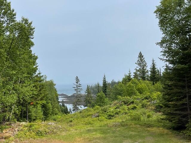 69 Havenhurst Road Lubec, ME 04652 - Photo 16 of 59 IMG_4251
