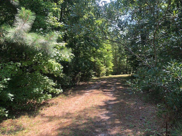 1 Mt Nebo Road, Unit 1 Onancock, VA 23417 - Photo 3 of 11