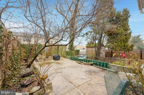 a view of a yard with a tree