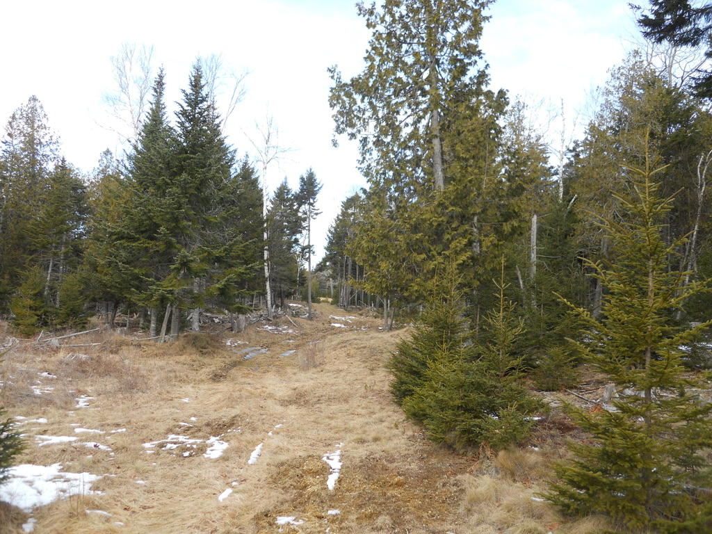 18-25 Airport Road Islesboro, ME 04848 - Photo 8 of 10 EDC2AF32-4574-4AD2-A66E-1679A72B0230_1_1