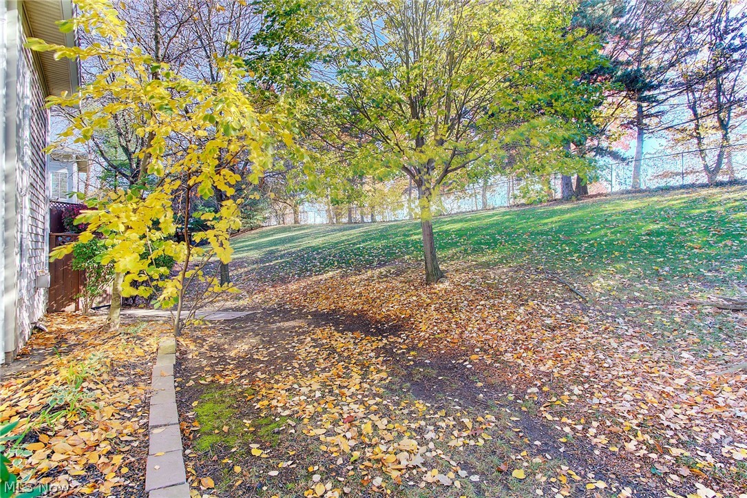 110 Furnace Run Road, Unit 14 Akron, OH 44307 - Photo 29 of 32 Grassy noll behind patio