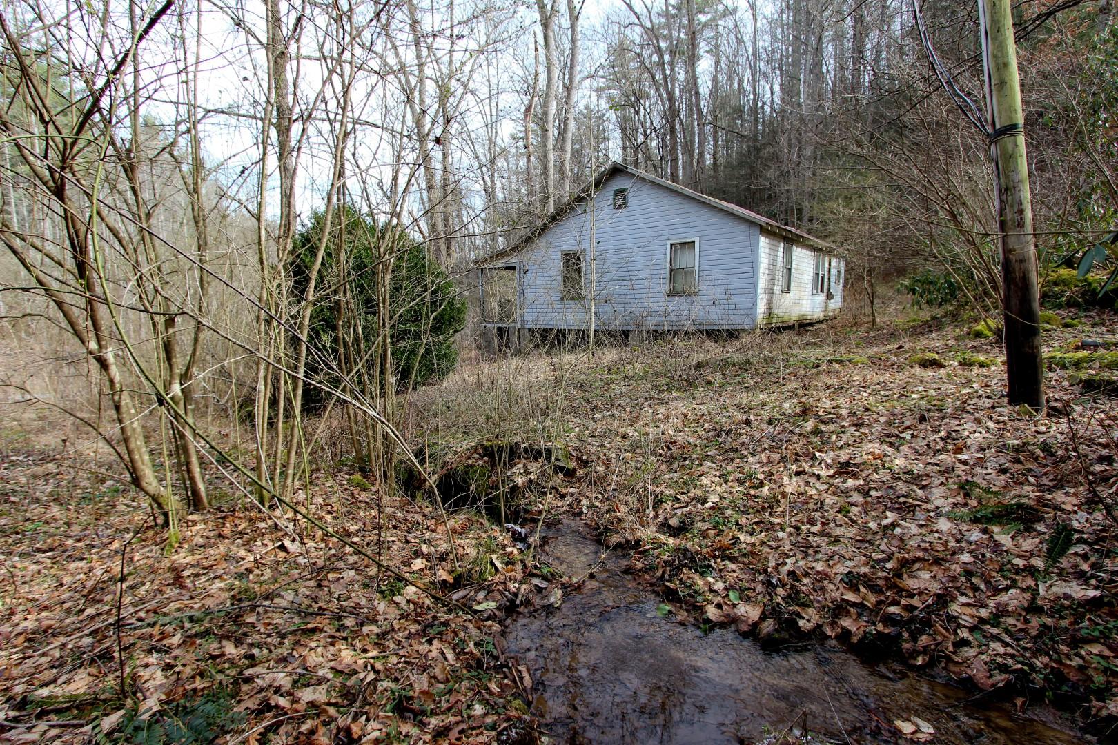 1-acre Reece Hollow Road Del Rio, TN 37727 - Photo 1 of 32 IMG_4219