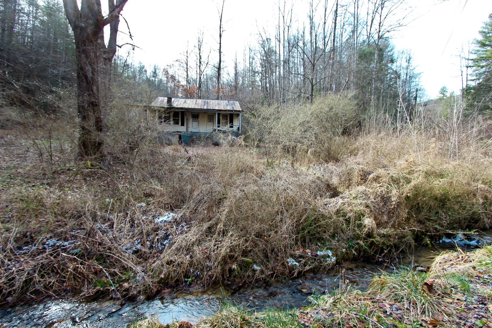 1-acre Reece Hollow Road Del Rio, TN 37727 - Photo 2 of 32 IMG_4205