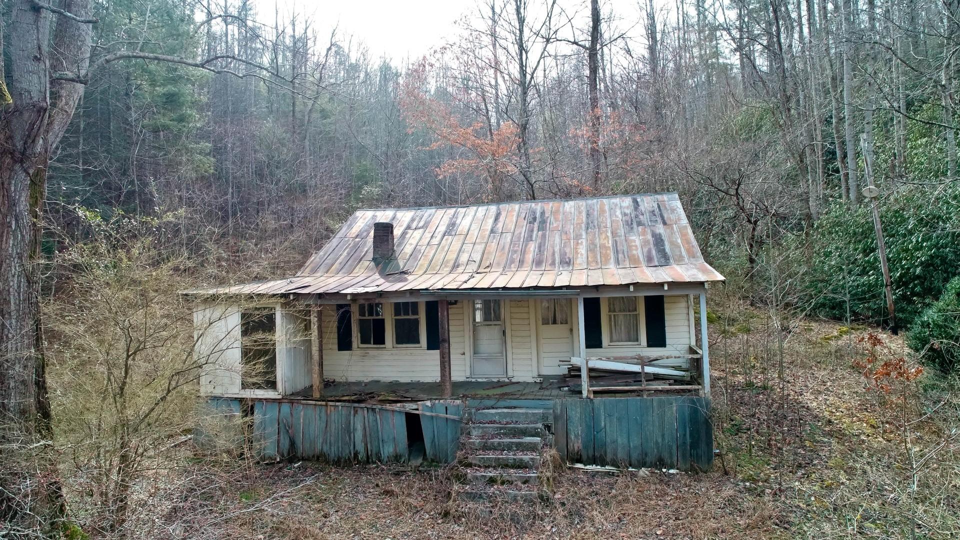 1-acre Reece Hollow Road Del Rio, TN 37727 - Photo 11 of 32 DJI_0082