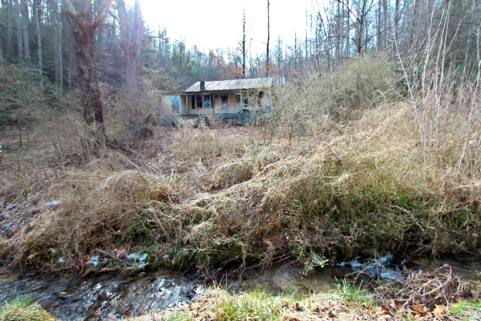 1-acre Reece Hollow Road Del Rio, TN 37727 - Photo 14 of 32 IMG_4206