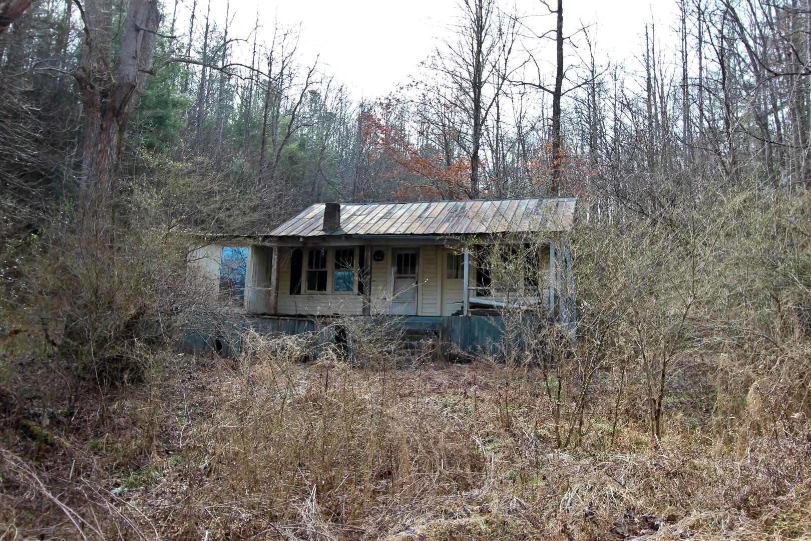 1-acre Reece Hollow Road Del Rio, TN 37727 - Photo 15 of 32 IMG_4207