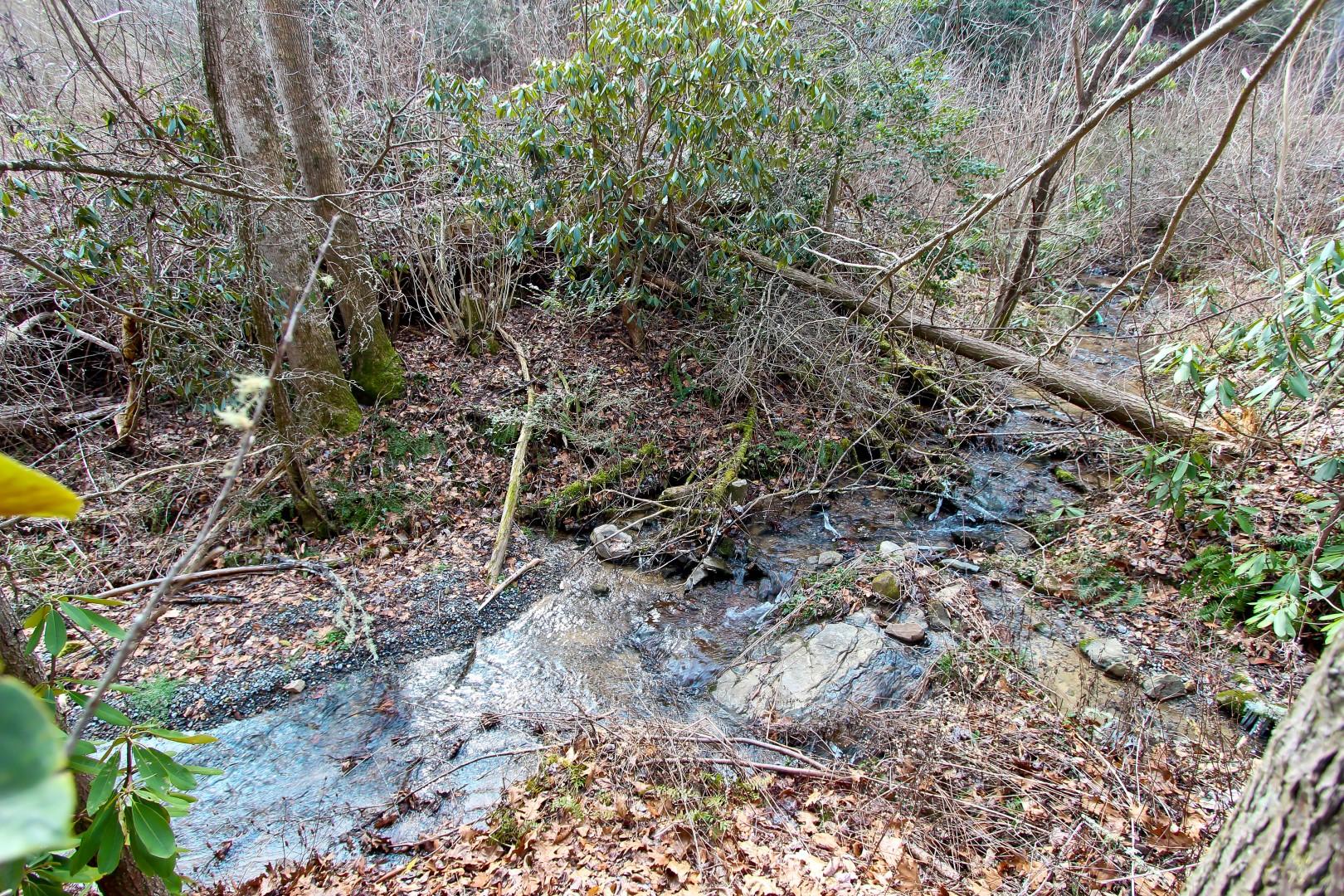1-acre Reece Hollow Road Del Rio, TN 37727 - Photo 16 of 32 IMG_4208