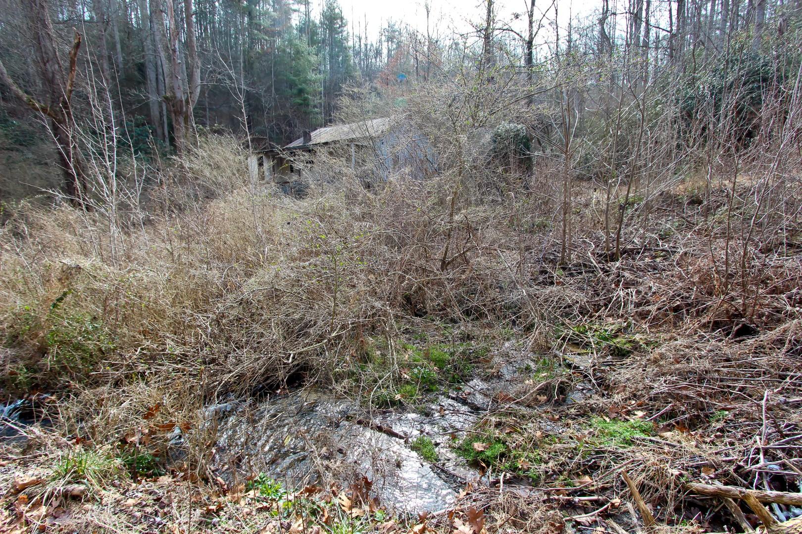 1-acre Reece Hollow Road Del Rio, TN 37727 - Photo 18 of 32 IMG_4210