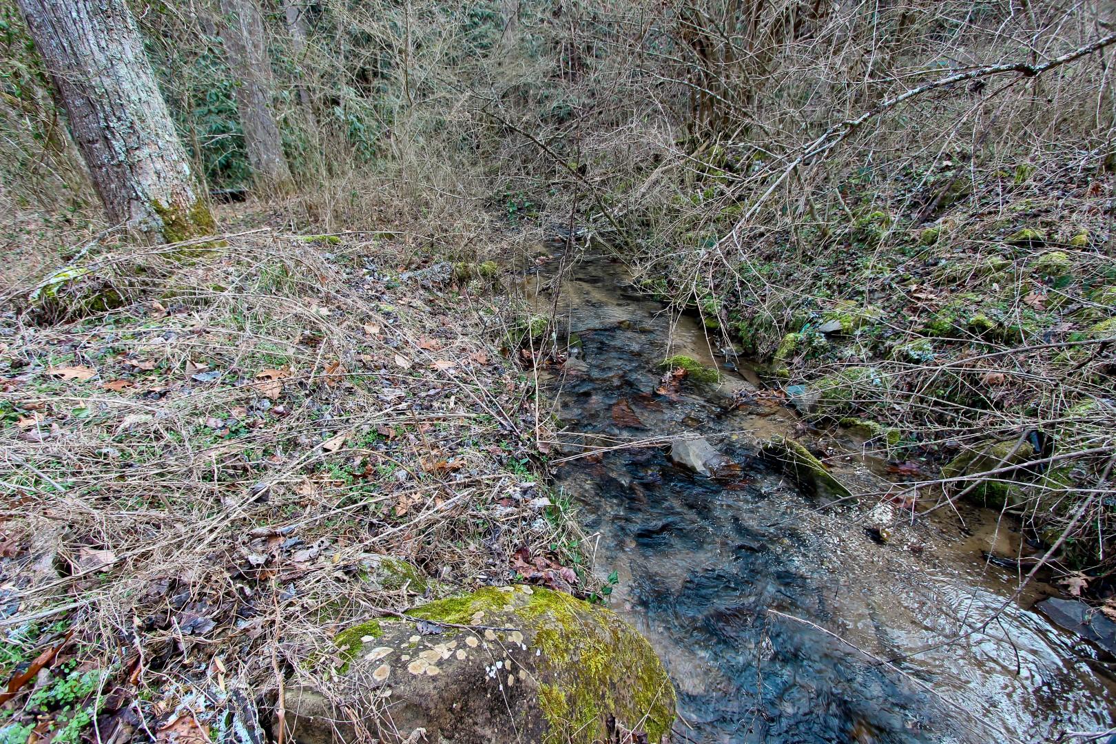 1-acre Reece Hollow Road Del Rio, TN 37727 - Photo 20 of 32 IMG_4212
