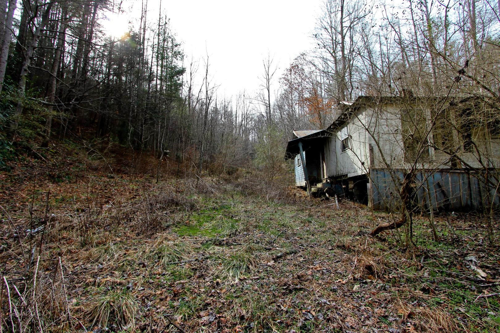 1-acre Reece Hollow Road Del Rio, TN 37727 - Photo 21 of 32 IMG_4213