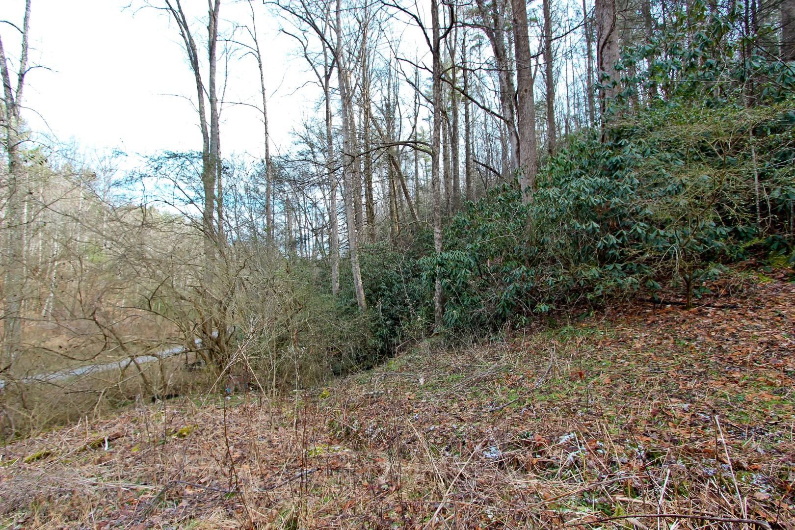 1-acre Reece Hollow Road Del Rio, TN 37727 - Photo 22 of 32 IMG_4214