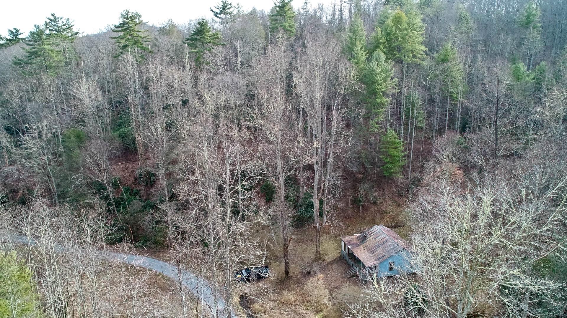 1-acre Reece Hollow Road Del Rio, TN 37727 - Photo 5 of 32 DJI_0073