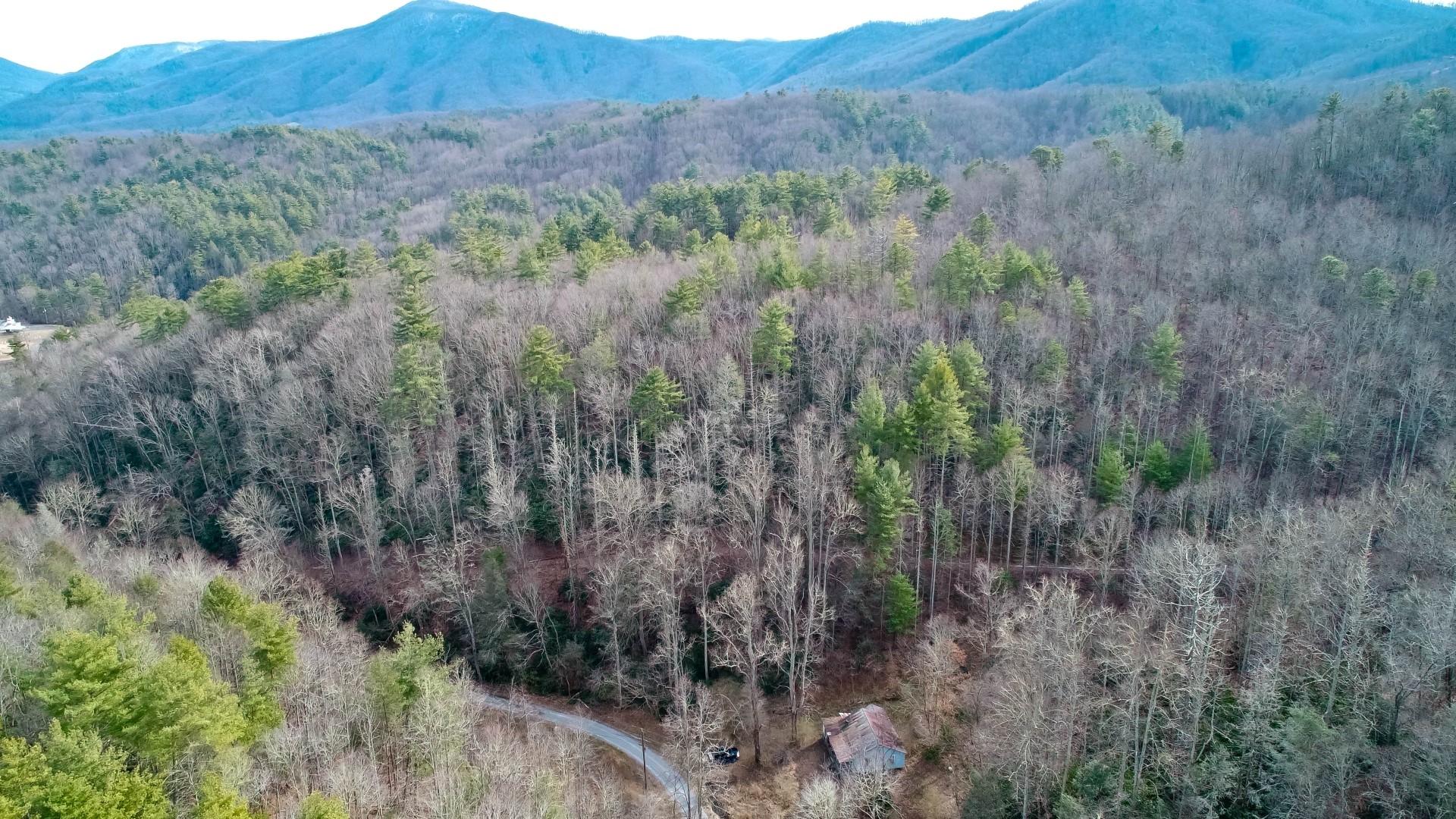 1-acre Reece Hollow Road Del Rio, TN 37727 - Photo 6 of 32 DJI_0074