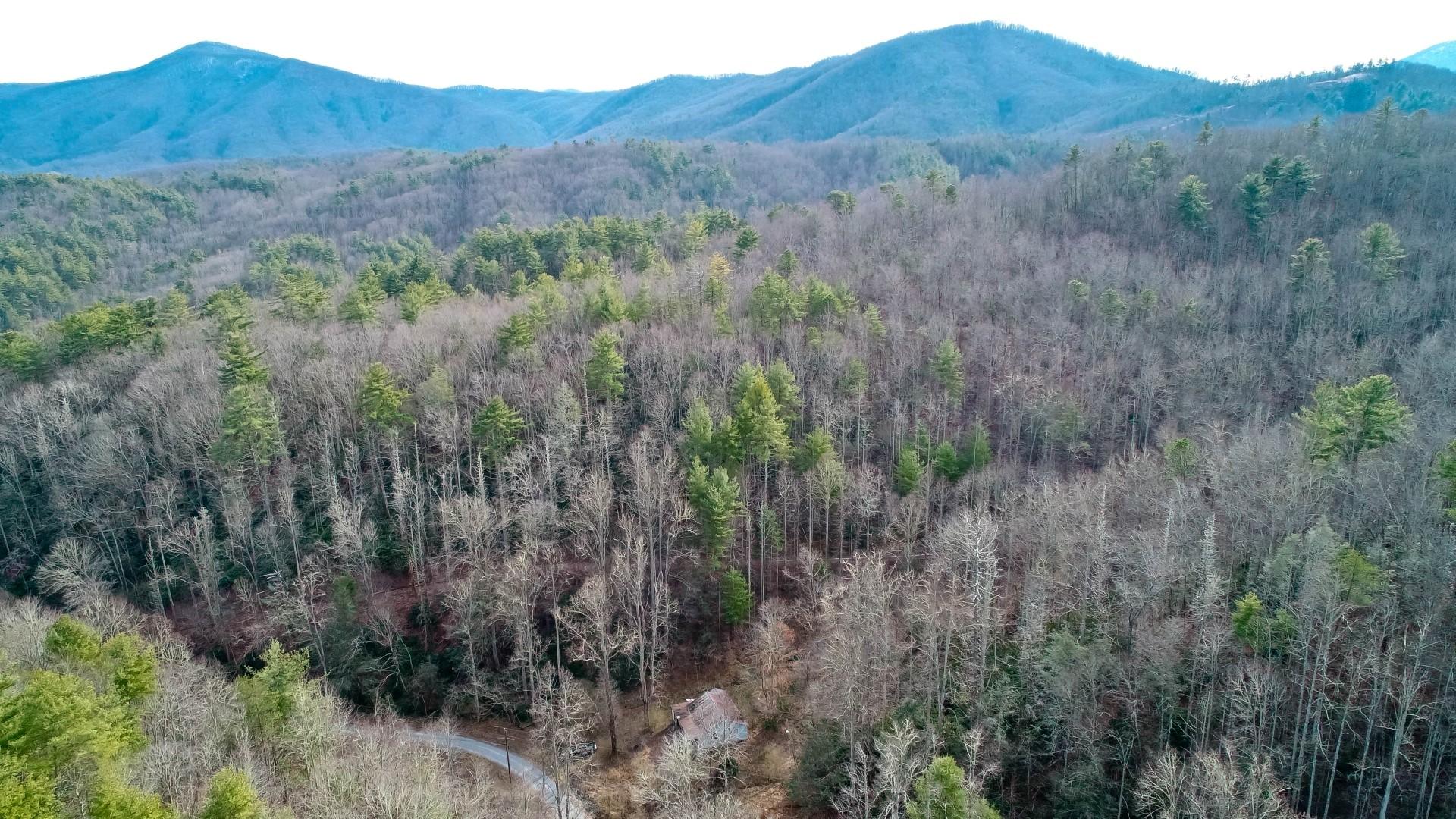 1-acre Reece Hollow Road Del Rio, TN 37727 - Photo 7 of 32 DJI_0075